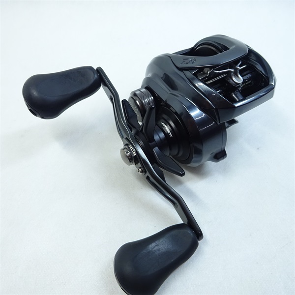 ２１タトゥーラＴＷ３００ 右